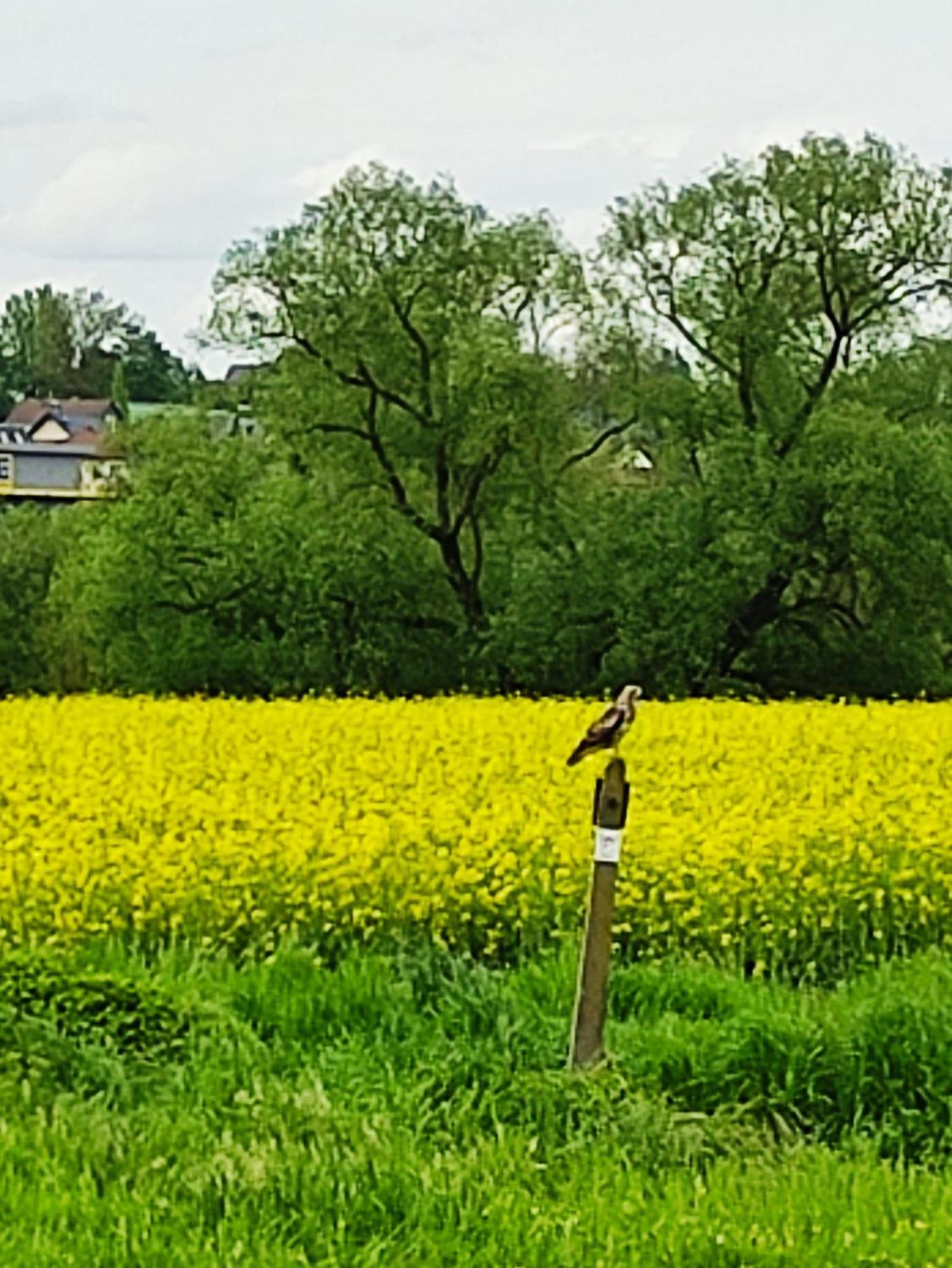 Ferienwohnung An Der Lahn Limburg an der Lahn Eksteriør bilde